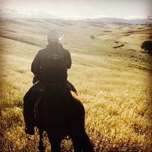 Meet your Posher, Tanner